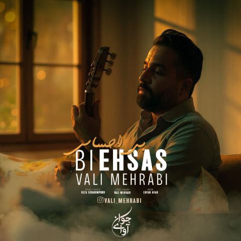 دانلود آهنگ ولی محرابی به نام بی احساس